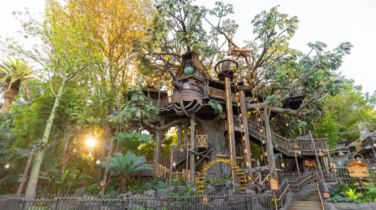 Adventureland Treehouse